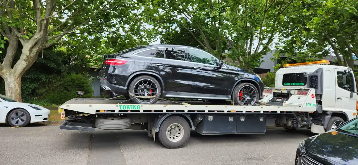 Emily Chen testimonial